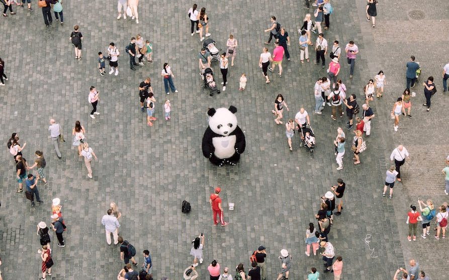 people gathered watching a panda mascot